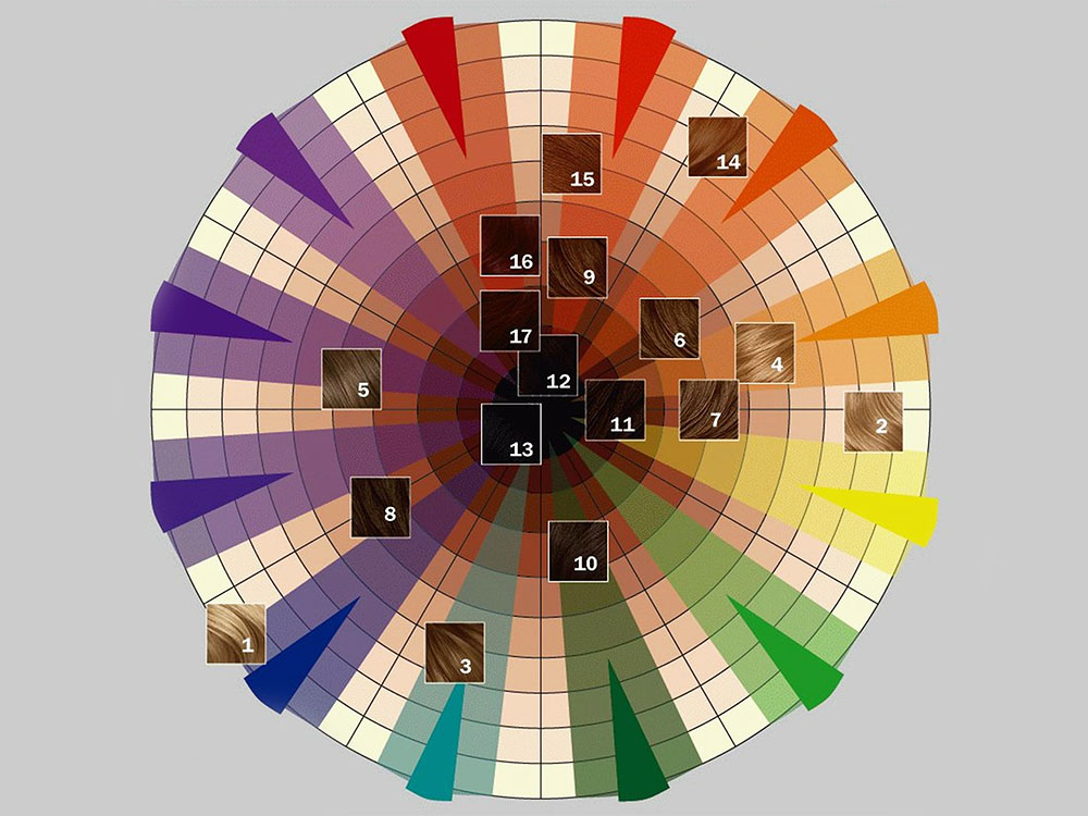 Колористическая цветовая схема
