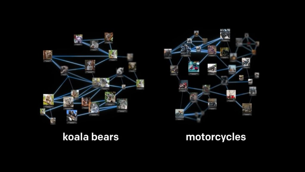 две базы данных которые загружаются в нейросеть изображения коал и изображения мотоциклов