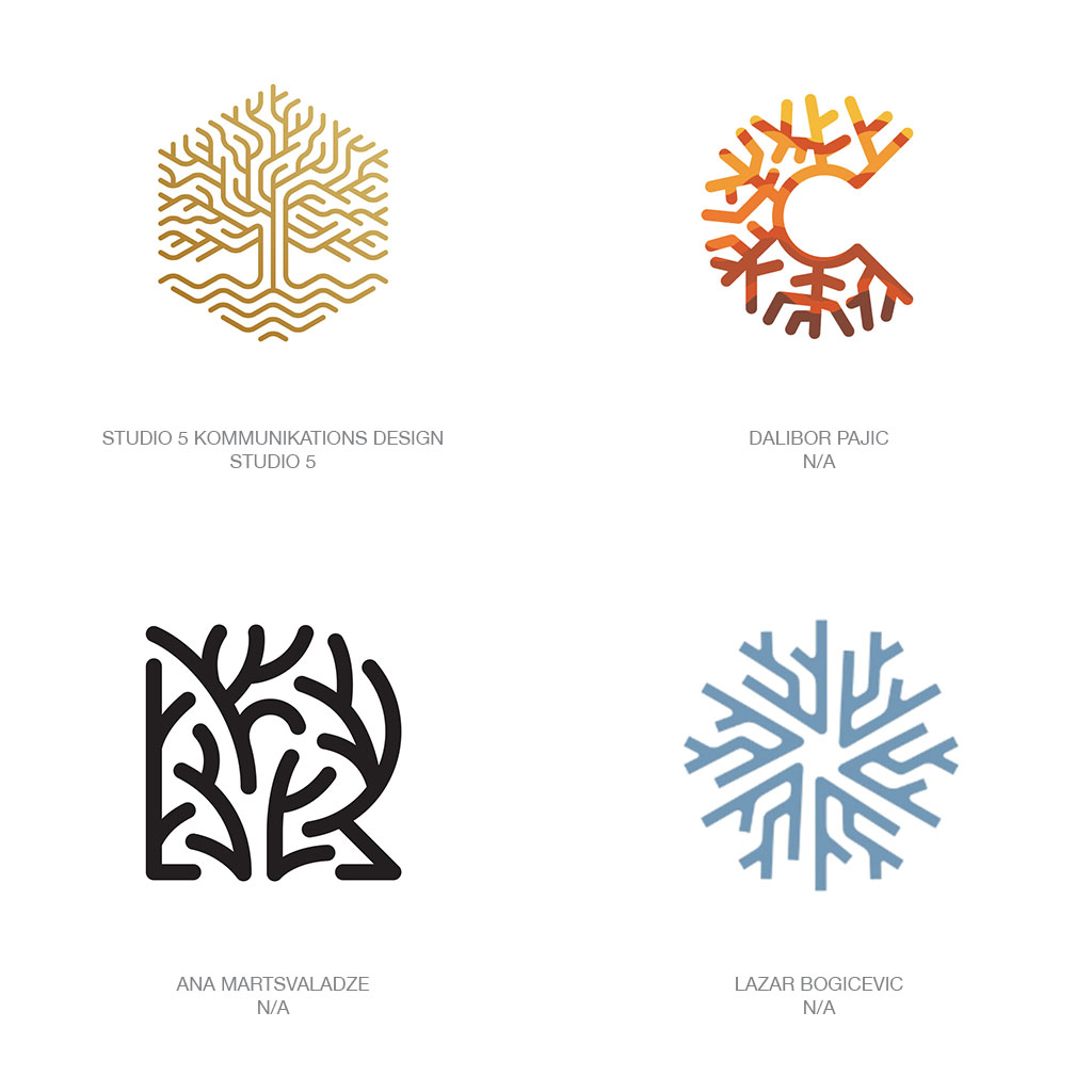 примеры логотипов с корнями