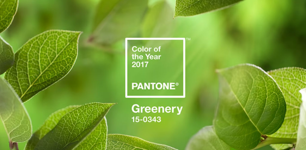 Цвет 2017 года по версии Pantone