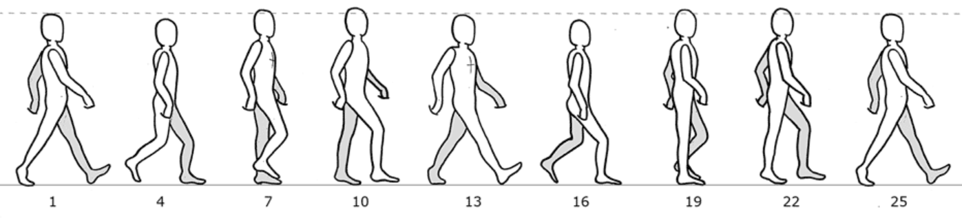 Ходьба человека. Ходьба человека по кадрам. Анимация походки покадрово. Покадровая ходьба человека. Анимация ходьбы по кадрам.