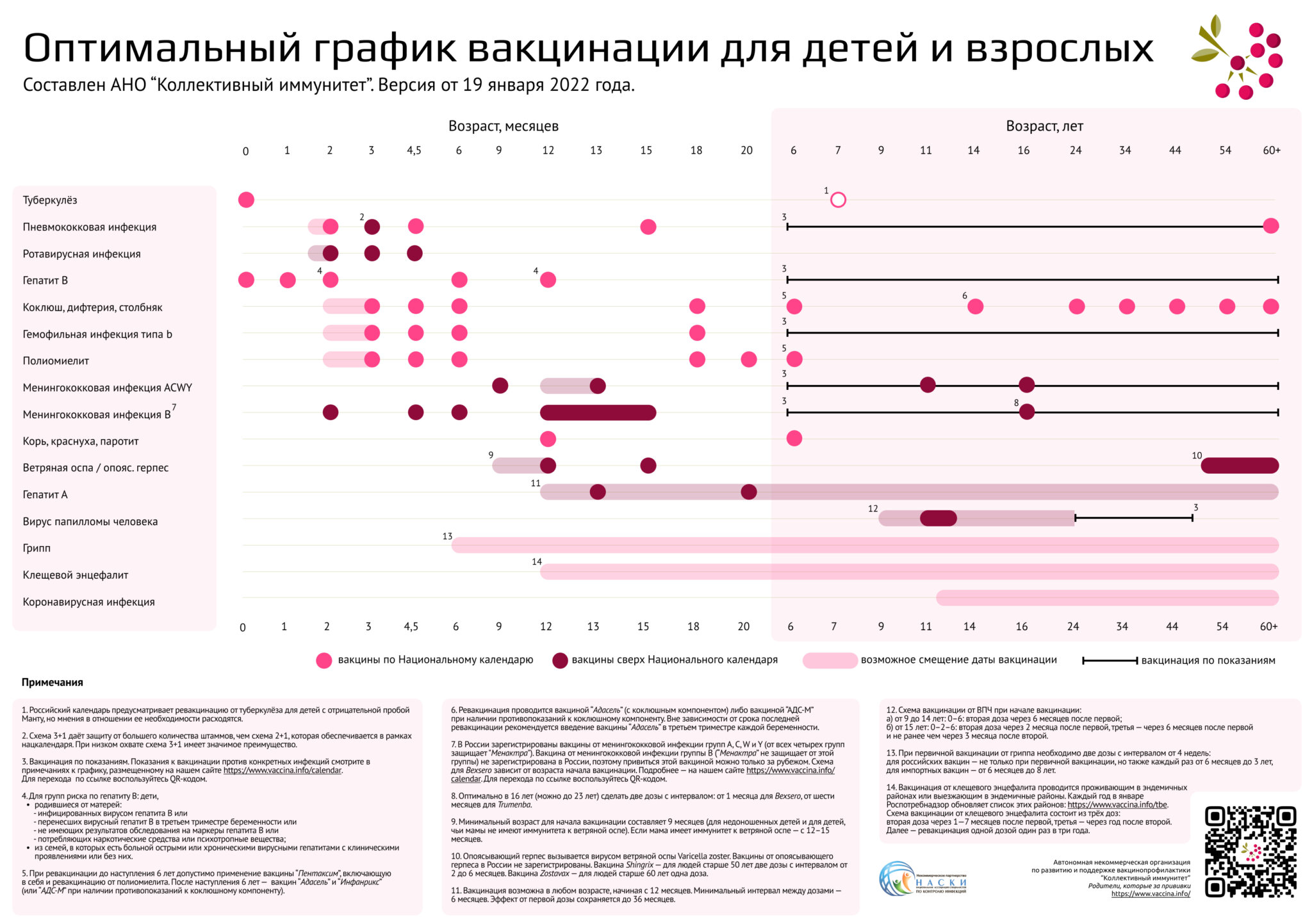 Национальный календарь прививок для всех взрослых. Национальный график прививок для детей 2022. Национальный календарь прививок 2022 взрослые.