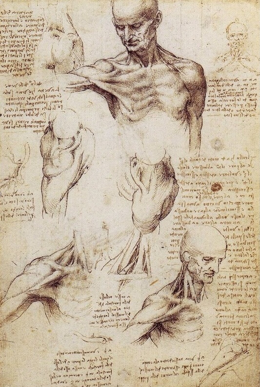 Работы Леонардо да Винчи