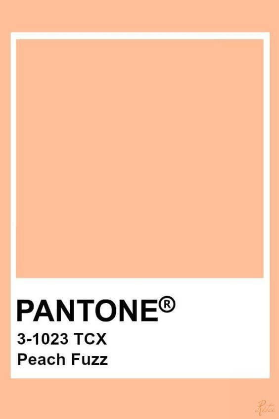 цвет Персиковый пух в Pantone