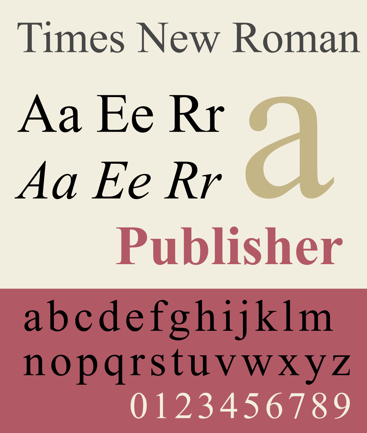 Шрифт Times New Roman