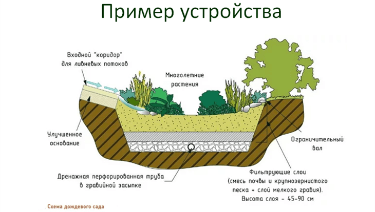 дождевой сад