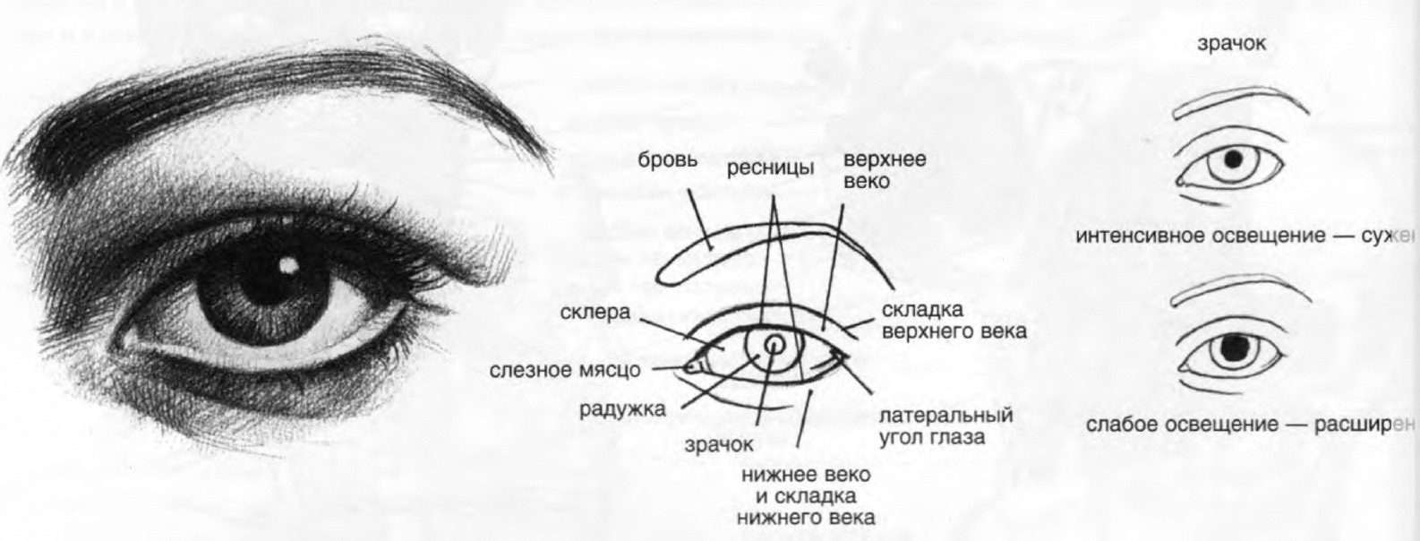 глаза в рисунке