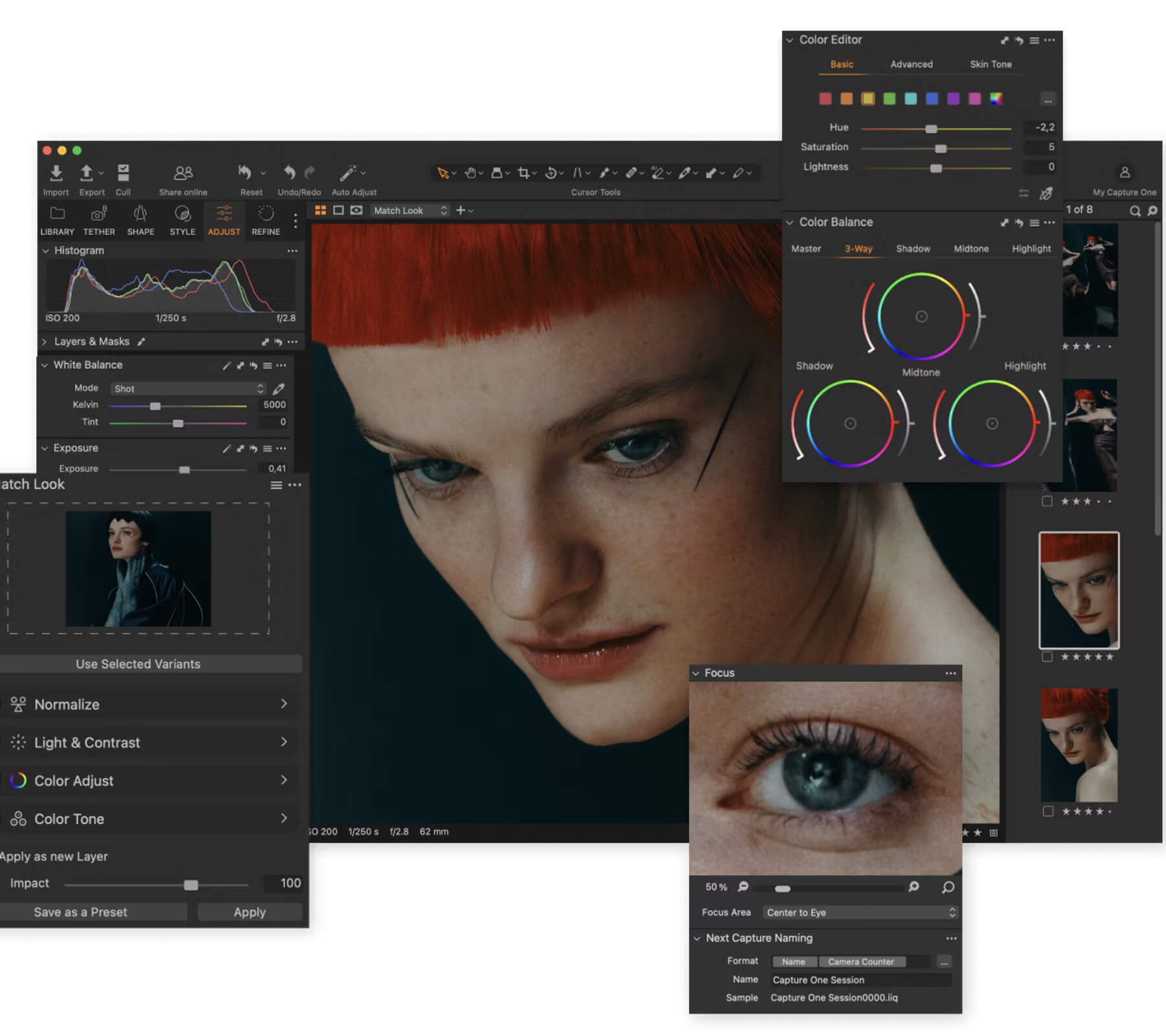 интерфейс программы capture one