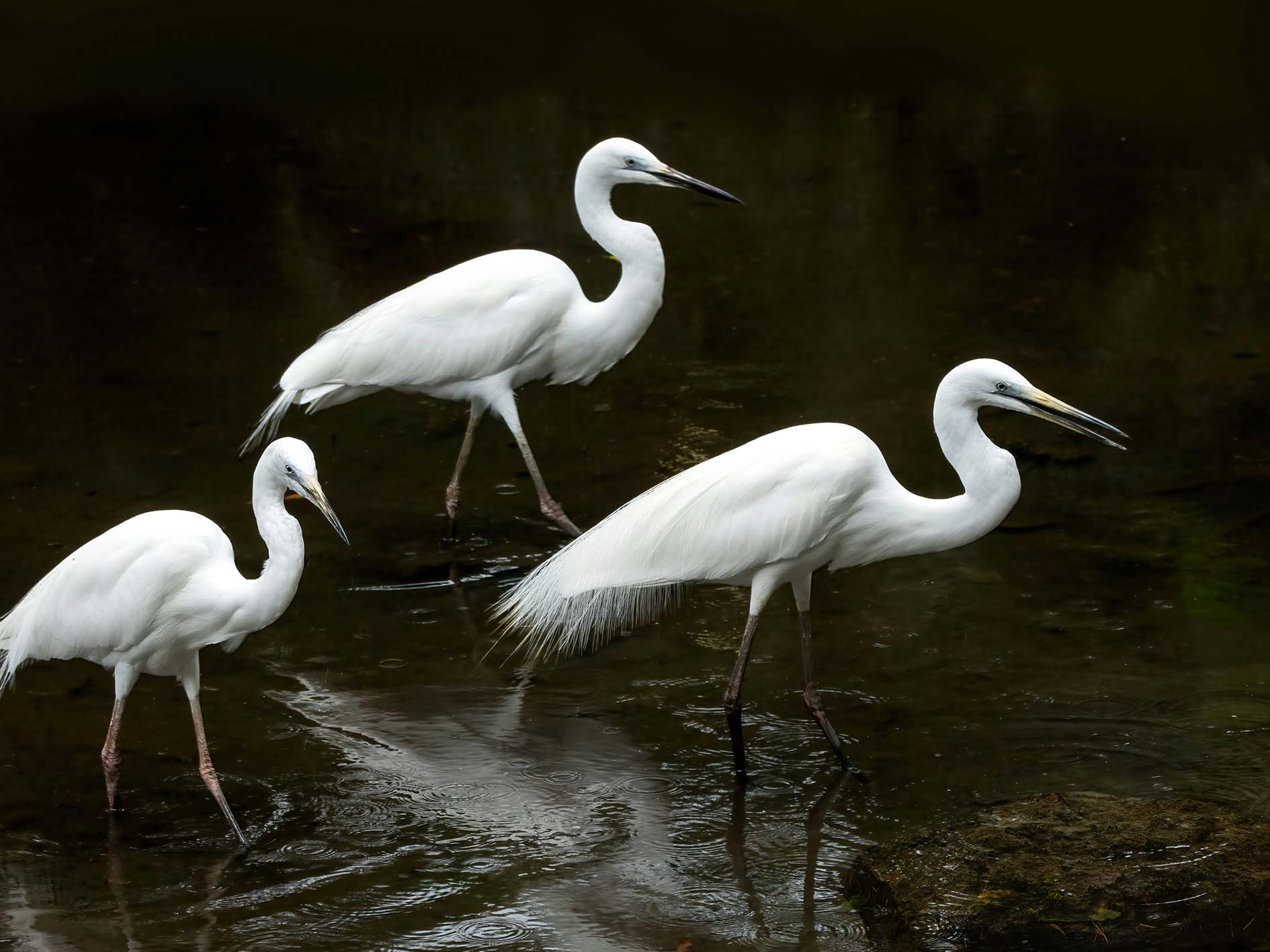 результат наложения 