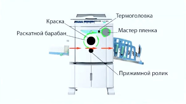 из чего состоит ризограф