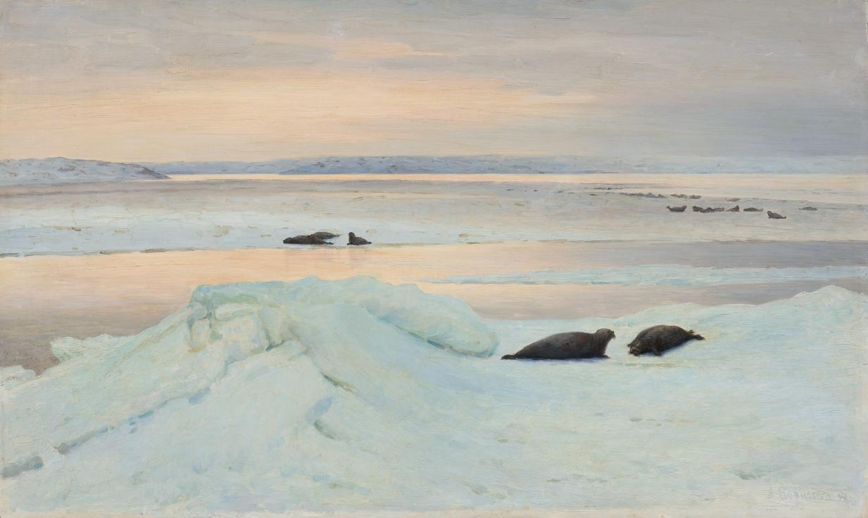 Борисов Полярная ночь