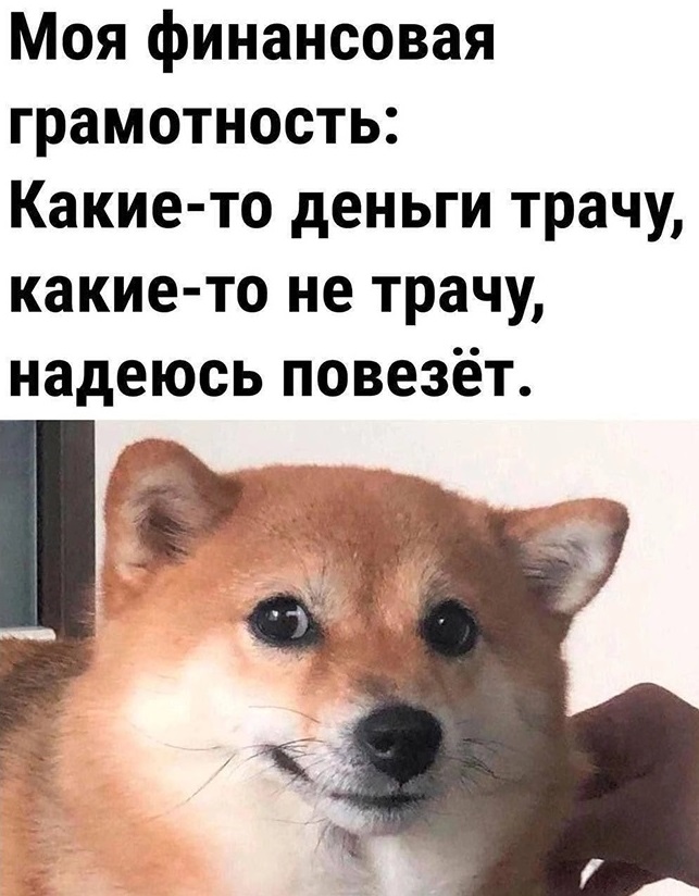 мем про финансовую грамотность