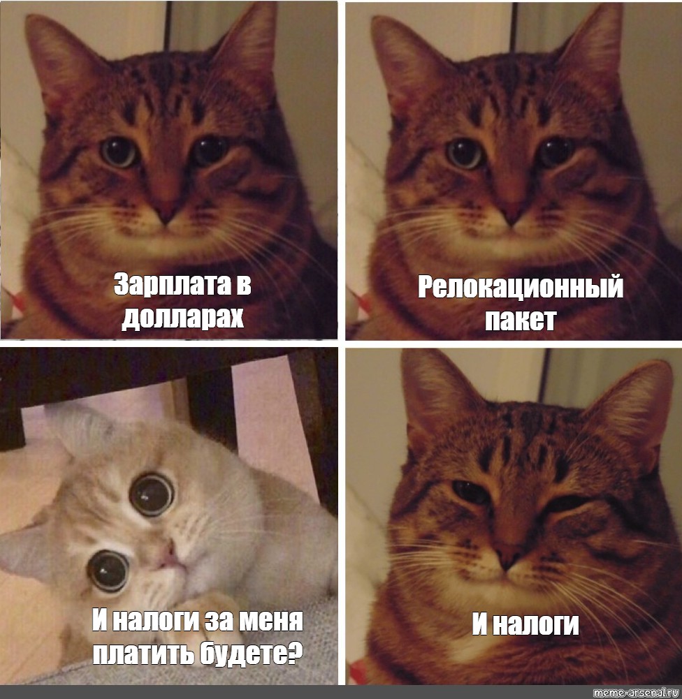 мем про идеальную релокацию