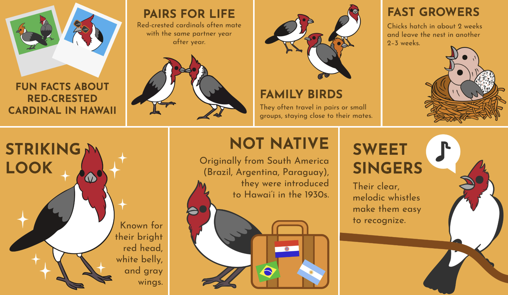 инфографика для детей