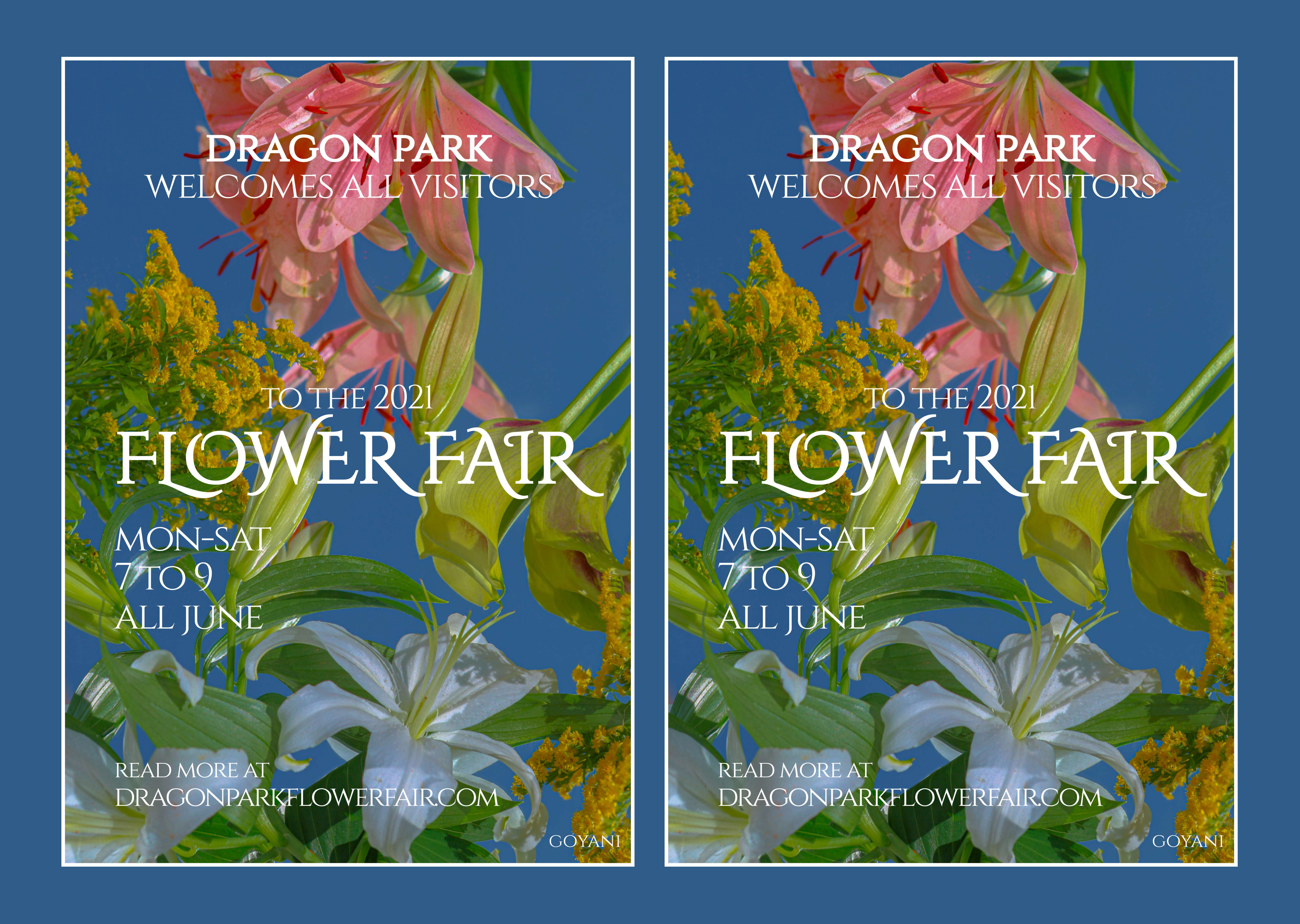 дизайн постеров с разными гарнитурами