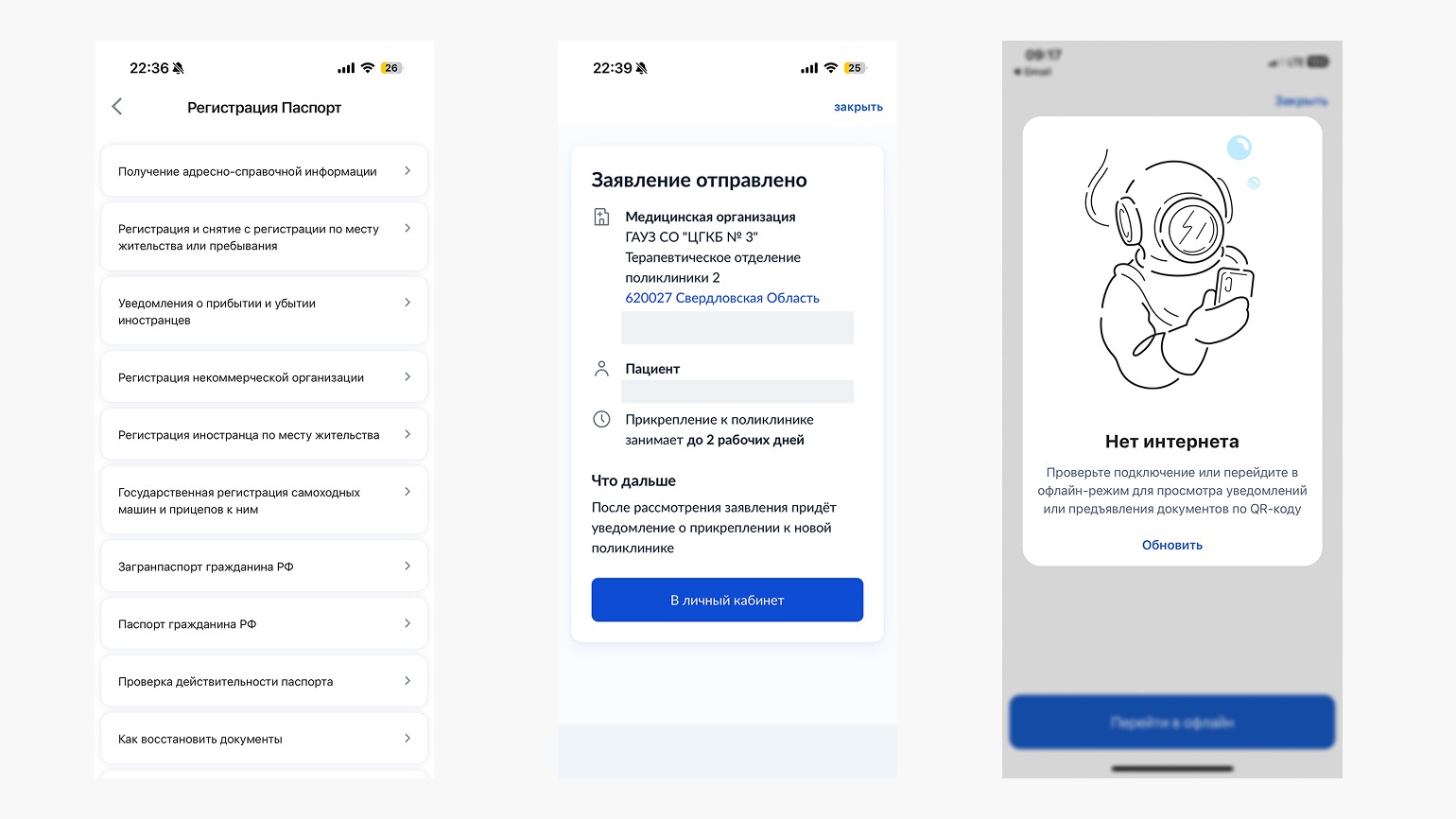 Пример ToV в приложении «Госуслуги»