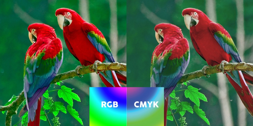 разница RGB и CMYK на печати