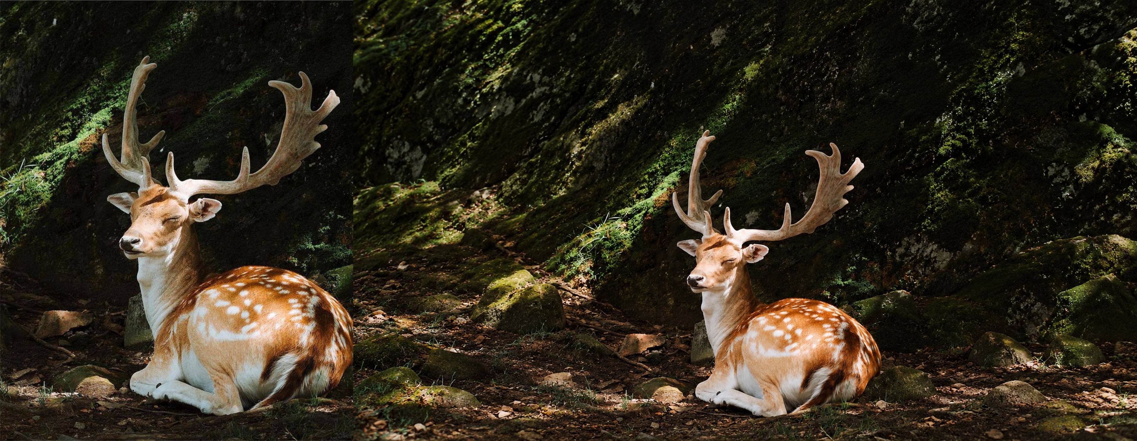 Результат промпта, когда нужно расширить фото до горизонтального формата 16:9
